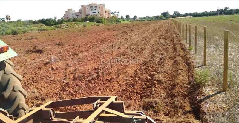 Foto f94b858f-6430-4adb-9bee-651b3b340095. Terreno residencial en Sant Llorenç des Cardassar