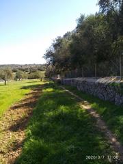 Casa a Llubí