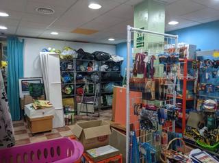 Geschäftsraum in Andratx