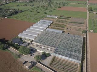 Business premise in Llucmajor Interior
