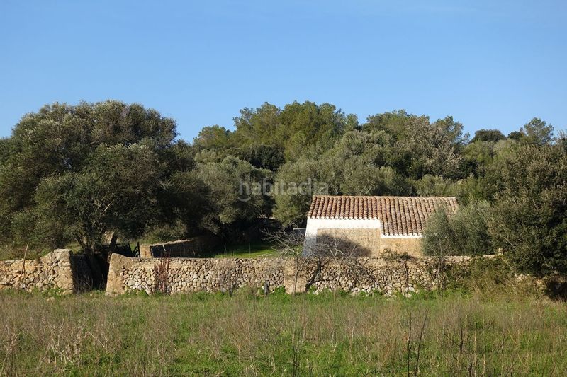 Foto b2a34acf-247b-40b9-9b6f-3a8fa9c0aea6. Chalet en Alaior poble Alaior