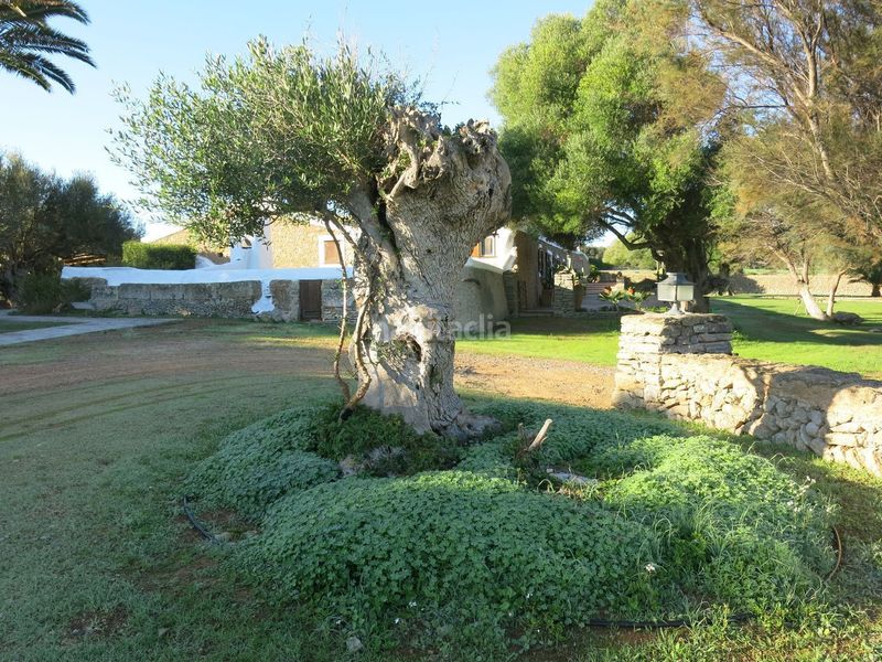 Foto f06b1fee-4024-4c84-a739-3670dac5b9c3. Chalet en Alaior poble Alaior