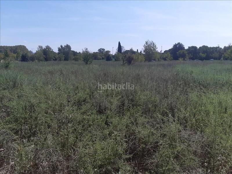 Foto 10a1818d-a6f1-4c55-8b37-8bbc518bd05b. Wohngrundstück in Sant Daniel Girona