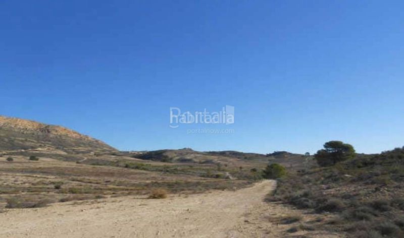 Foto 0b940445-37b0-4509-a1fd-e2b62bba1667. Terreny residencial a Tibi