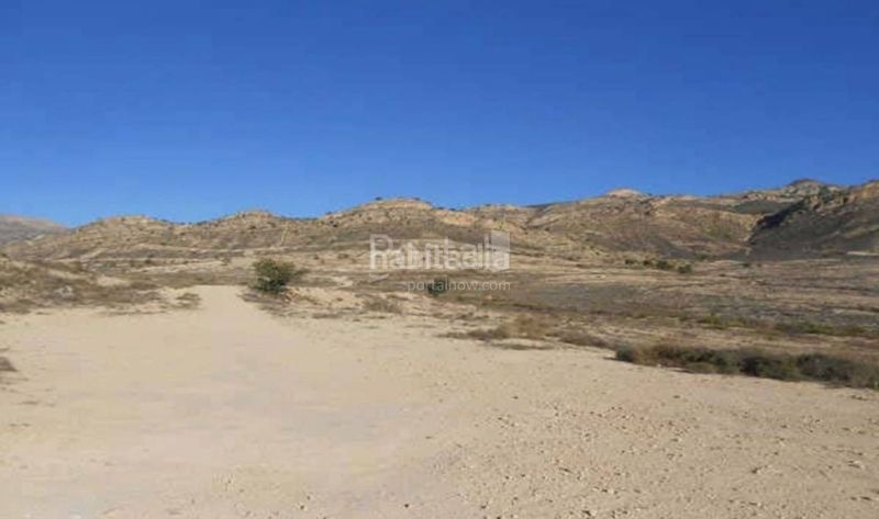 Foto 63a1d125-59f7-47ba-b43c-8c7137daccf8. Terreny residencial a Tibi