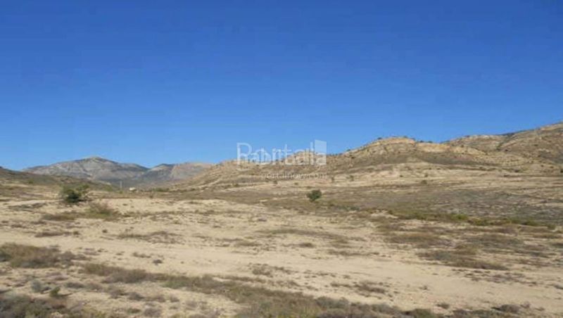 Foto 72535d81-5435-4ecd-b6ef-a83eb4db5ecf. Terreny residencial a Tibi