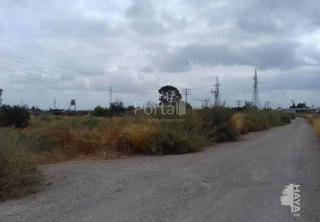 Residential Plot in El Palmar