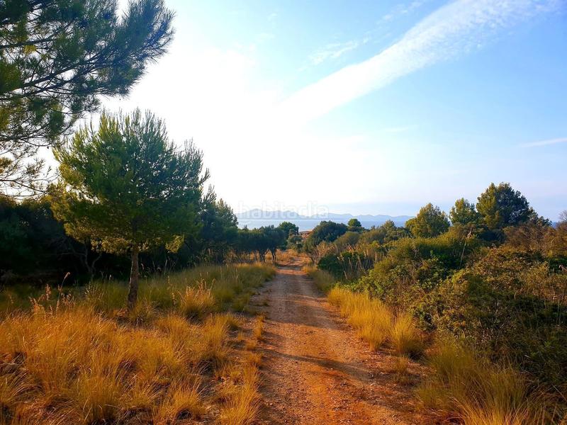 Foto 2dec456e-79c3-48db-a4c7-2e35bab6512a. Terreno residenziale in Betlem Artà