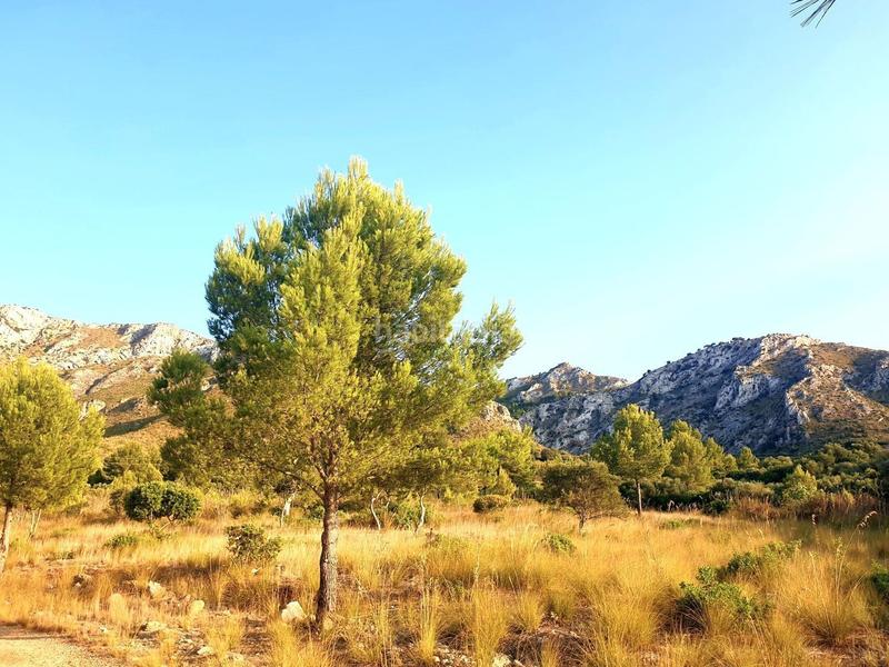 Foto 56ed89a2-74f0-4b3c-81a6-7fe5e133af26. Terreno residenziale in Betlem Artà