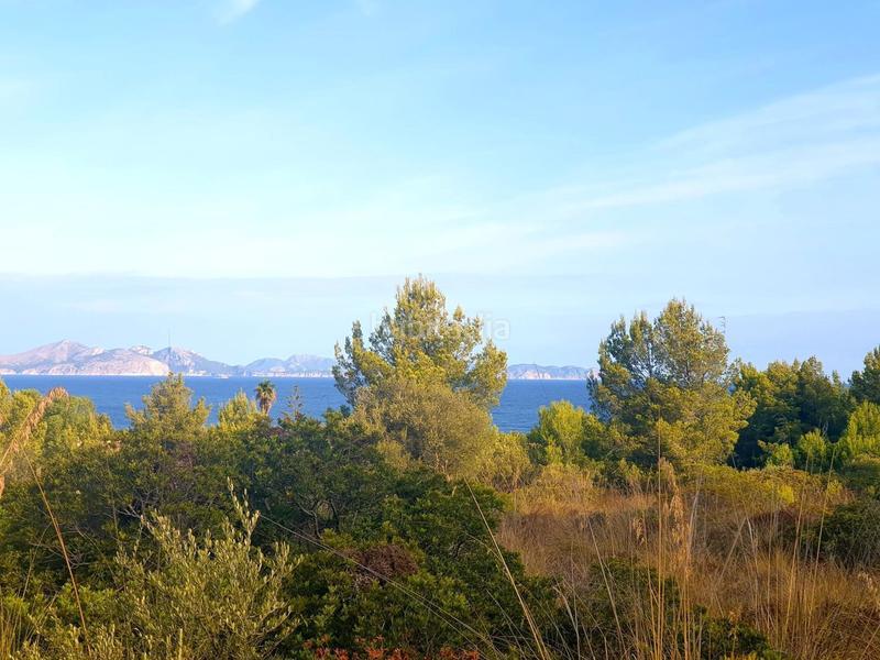 Foto 90d5faf6-5410-4cd8-9f9d-4def3c8c823e. Terreno residenziale in Betlem Artà