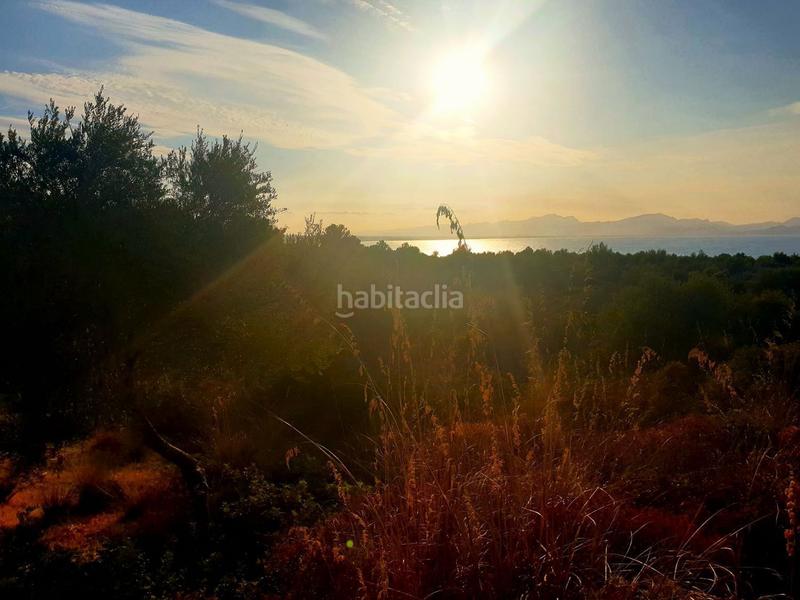 Foto ac0636ac-090d-4745-8b91-83e9a4090f80. Terreno residenziale in Betlem Artà