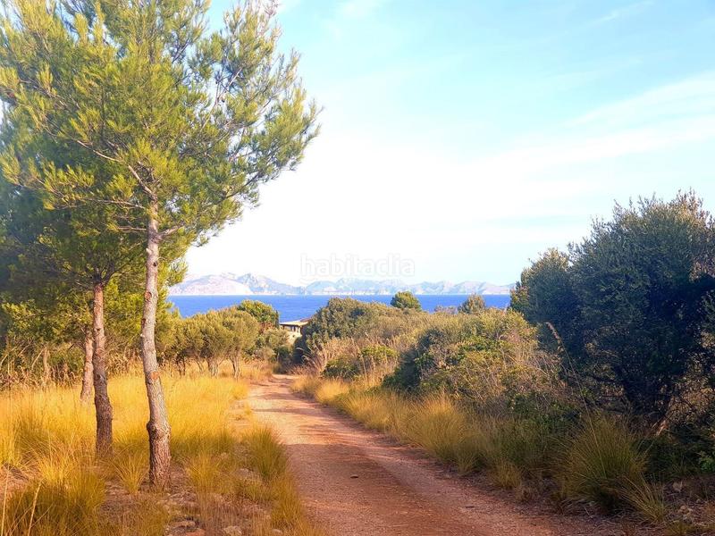 Foto eb3a2f2a-226c-448a-b65c-a9c63f3a6653. Terreno residenziale in Betlem Artà