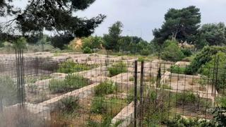 Residential Plot in Badia Blava-Badia Gran-Tolleric