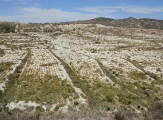 Residential Plot in Baños y Mendigo