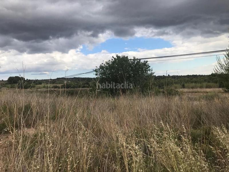 Foto d9eac1e5-3af3-4183-a958-f110563d67b6. Residential plot in Puigpelat