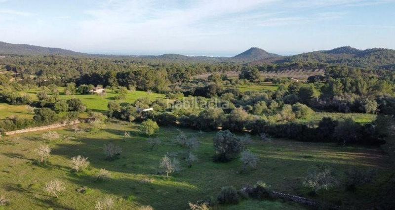 Foto 5100c739-47d5-413e-94ce-2aae72cd7130. Terreno residencial en Felanitx poble Felanitx