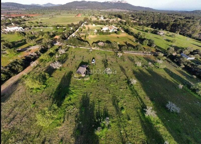 Foto e6e5e0d1-08ea-4cc7-aff0-a49950c4ee8a. Terreno residencial en Felanitx poble Felanitx