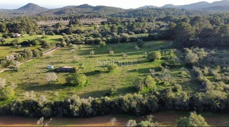 Foto 4ce622a8-d1d3-40ef-8c42-0a9e2e2247b7. Residential plot in Felanitx poble Felanitx