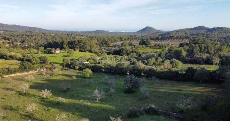Foto dfe20e94-43a8-4d94-b5c7-7fd2cafc81d2. Residential plot in Felanitx poble Felanitx