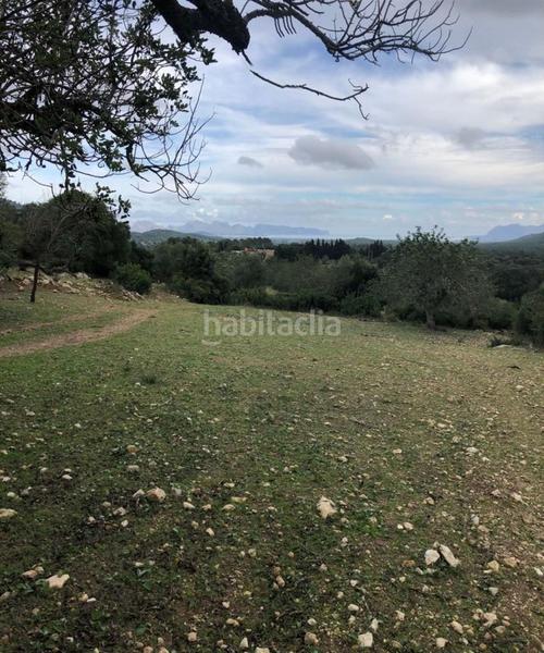 Foto 007339f9-3cdd-43f5-92fd-159cf5b71837. Casa con parcheggio in Pollença poble Pollença