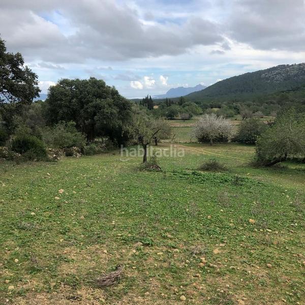 Foto 4a616126-44c3-49b0-86d5-8362e7e19905. Casa con parcheggio in Pollença poble Pollença