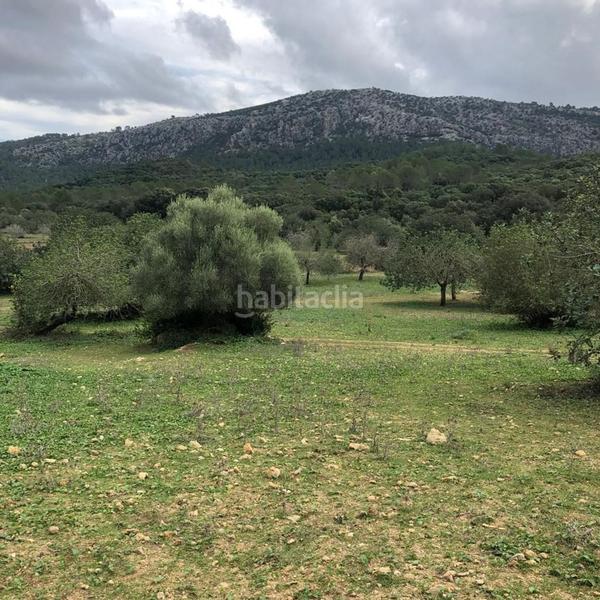 Foto 62a9b6d4-cd27-45e8-88a7-ed5d5b76696e. Casa con parcheggio in Pollença poble Pollença