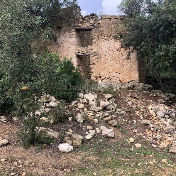 Foto c01213e6-ba24-4523-85fd-27f75e35abe0. Casa con parcheggio in Pollença poble Pollença