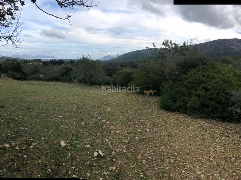 Foto ed8c5af3-b25d-4496-8497-f3a0854612e1. Casa con parcheggio in Pollença poble Pollença