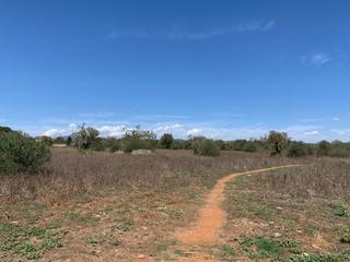 Terrain résidentiel à Campos