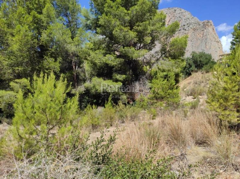 Foto 9ca1b342-23ed-4a19-a811-a62af8323f4c. Terreny residencial a Mascarat Altea