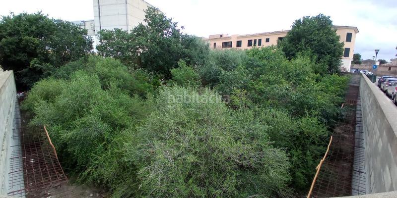 Foto b17f7cd1-456a-4aea-85a5-719f582e50d8. Terreno residencial en ciutat d´Alcúdia Alcúdia