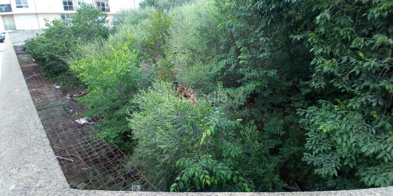 Foto d90fc8a0-a2c2-40ea-a481-1d5bea889ed6. Terreno residencial en ciutat d´Alcúdia Alcúdia