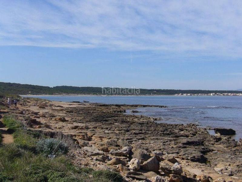 Foto 13df5fc6-5fa2-49ae-a24f-8a3c67073e80. Terreno residenziale in Colònia de Sant Pere Artà