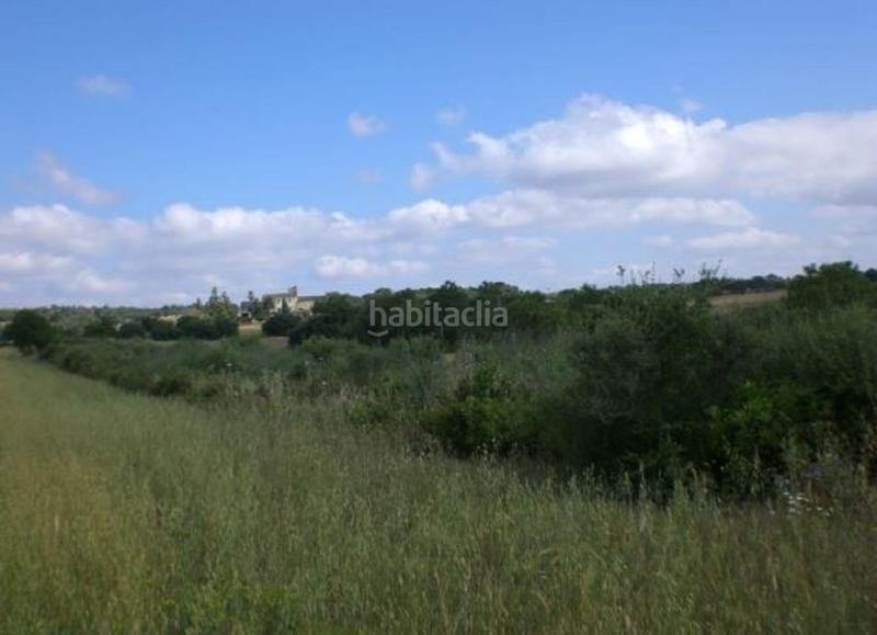 Foto 841045d9-2243-46b8-b103-4721bed0d5ea. Casa amb aparcament a Petra