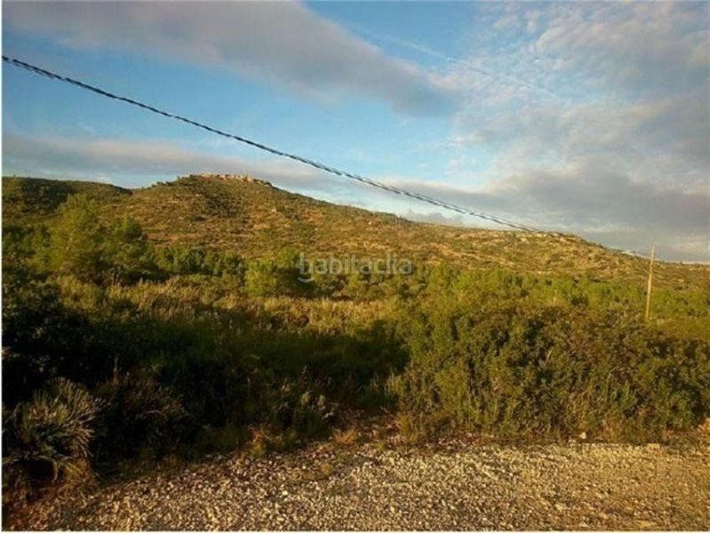 Foto 297d496b-e9a9-4719-b629-5545d97bca1a. Terreny residencial a Pratdip