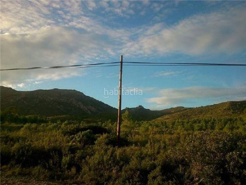 Foto 5b131d6c-9f69-4afb-a78a-9d0c5f35ad52. Terreny residencial a Pratdip