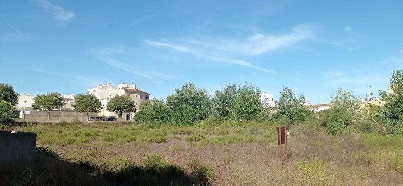 Foto afc399cf-5d9f-411d-9346-ab2f8e0f5c83. Terrain résidentiel dans Artà poble Artà