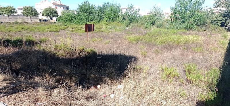 Foto c9b6cad0-14f9-408f-8ae3-2197ea9514ac. Wohngrundstück in Artà poble Artà