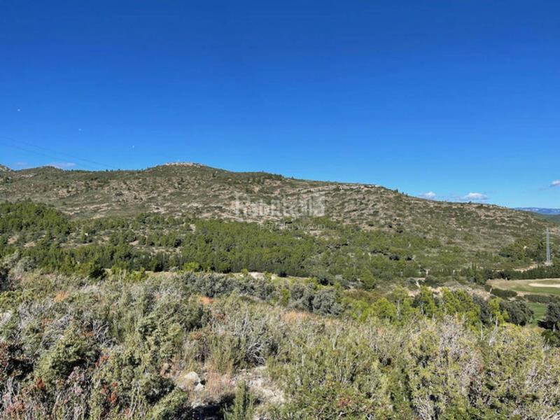 Foto 4d34898b-88f4-41b7-938e-d4f404a426b6. Residential plot in Bonmont Terres Noves Mont-roig del Camp