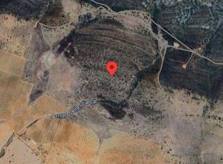 House in Oliva de Mérida