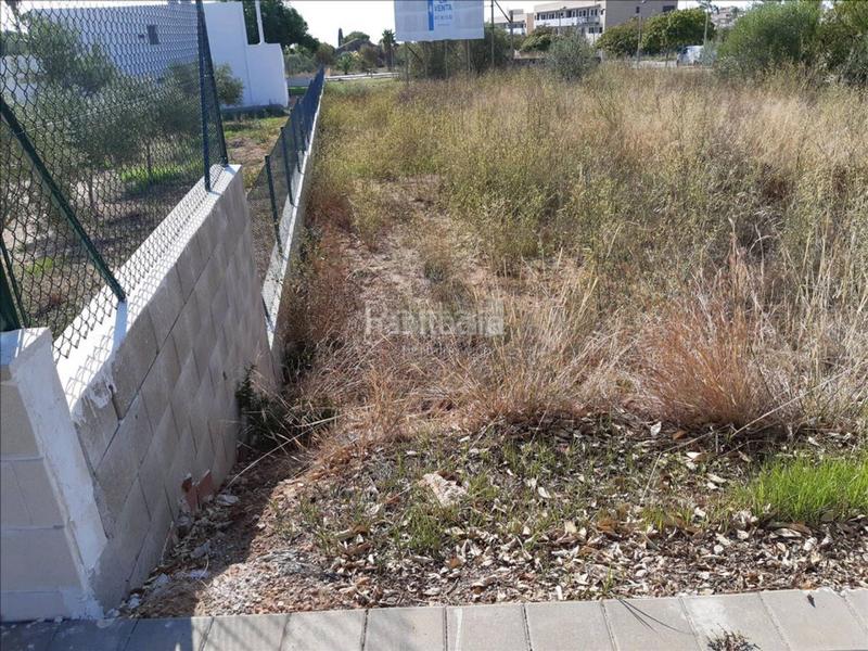 Foto 2a0678e3-3b92-4ad3-b626-b9afce3acf9c. Terreny residencial a Alcanar