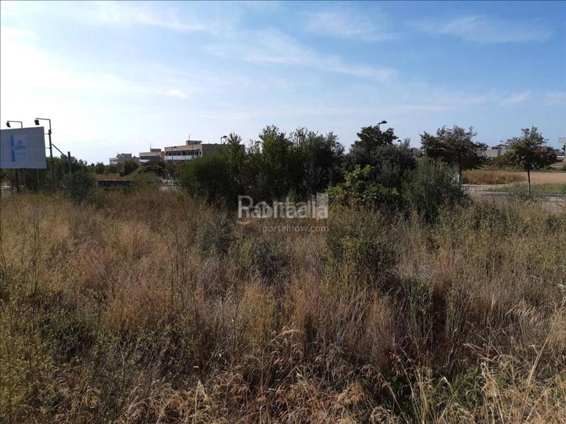 Foto 85d57208-6032-49d6-aa83-a8335e574c5d. Terreny residencial a Alcanar