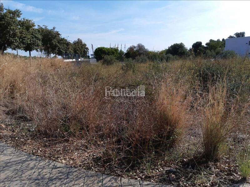 Foto a48b7f37-439e-4067-9bd9-dbe285b65455. Terreny residencial a Alcanar