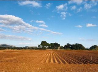Terreno residenziale in Búger
