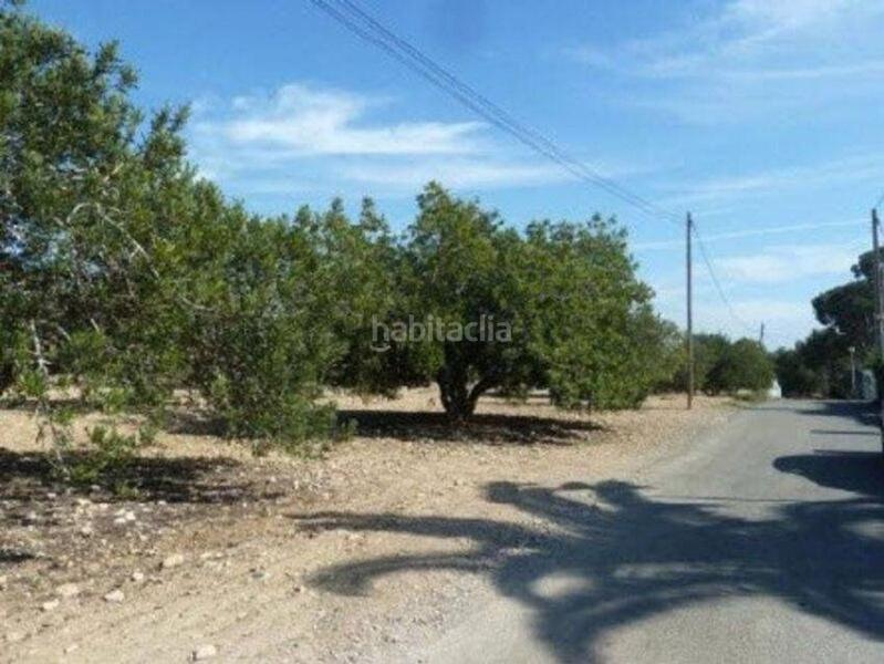 Foto 6a11c324-6a9a-45ea-823e-d2ff01c15033. Terreno residencial en Torreforta Tarragona