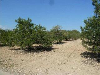 Terreno residenziale in Torreforta