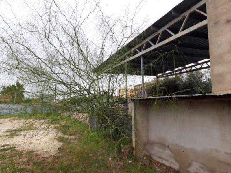 Foto 6f6c81e2-a58a-4d44-95c6-2a7cf1cd10b9. Terreno residenziale in Deltebre