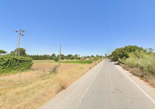 Business premise in Centro