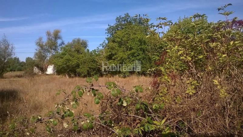 Foto c01b9a3c-8d6b-4093-9cbf-7c9e289bc29c. Terreno residencial en El Ejido - Santa Ana León