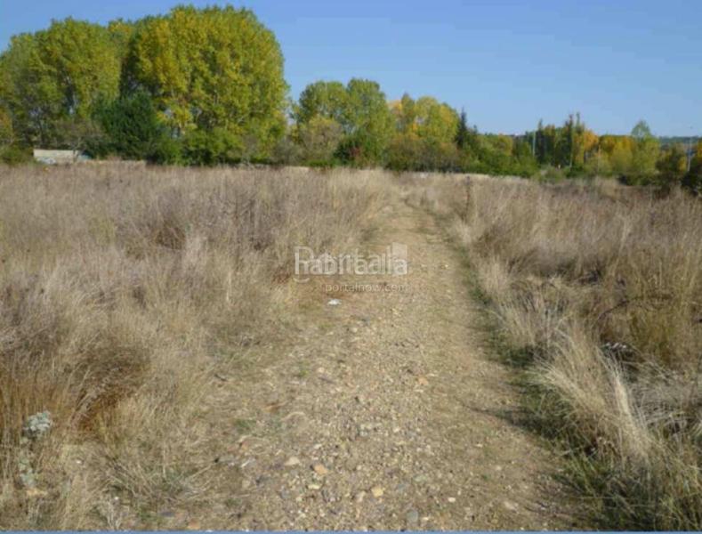 Foto 0e50907c-bf50-48e3-ad03-7edc80577fbf. Terrain résidentiel dans El Ejido - Santa Ana León